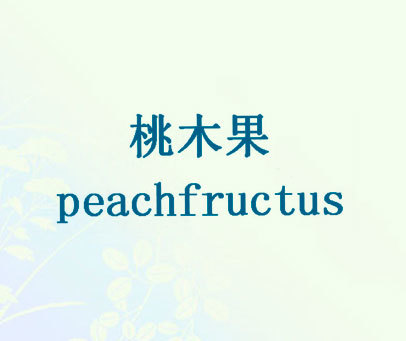 桃木果 PEACHFRUCTUS