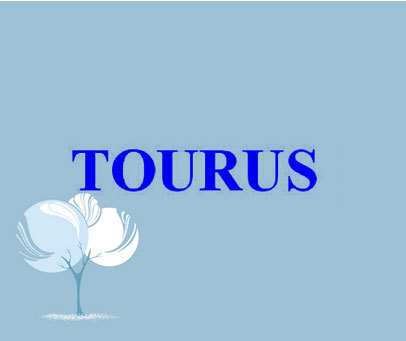 TOURUS