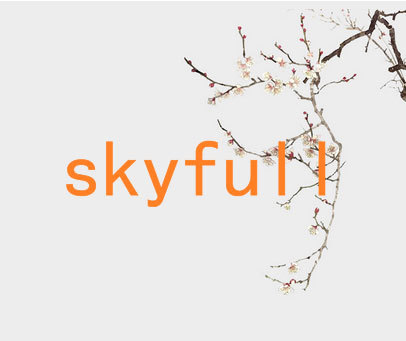 SKYFULL