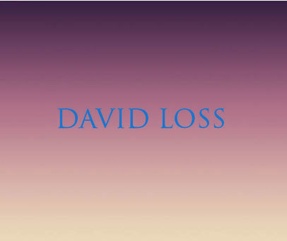 DAVID LOSS