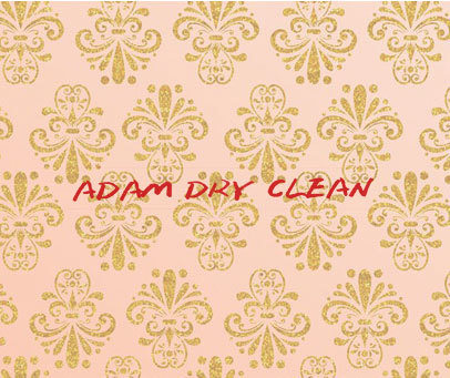 ADAM DRY CLEAN