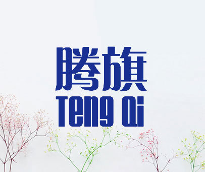 腾旗tengqi