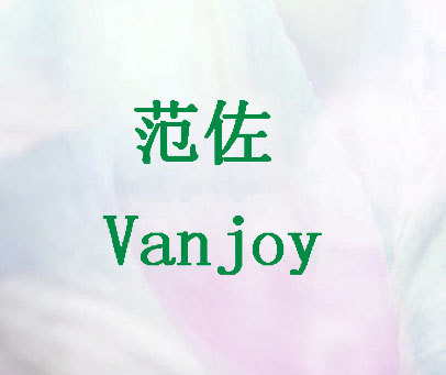 范佐 VANJOY