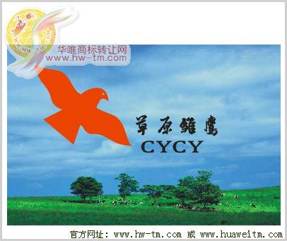 草原雏鹰;CYCY