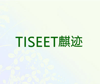 麒迹 TISEET