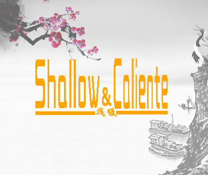 浅暖 SHALLOW CALIENTE