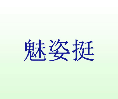 魅姿挺