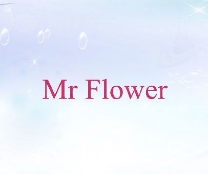 MR FLOWER