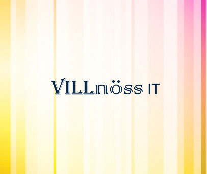 VILLNOSS IT