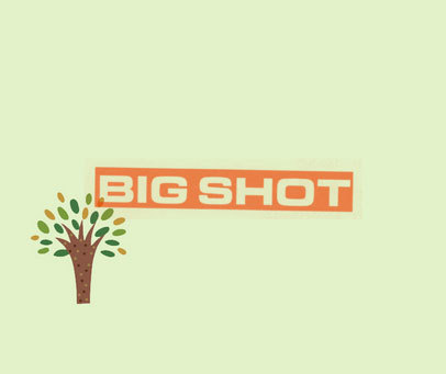 BIG SHOT