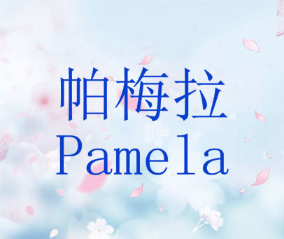 帕梅拉 PAMELA