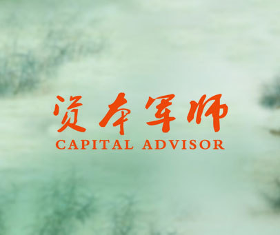 资本军师 CAPITAL ADVISOR