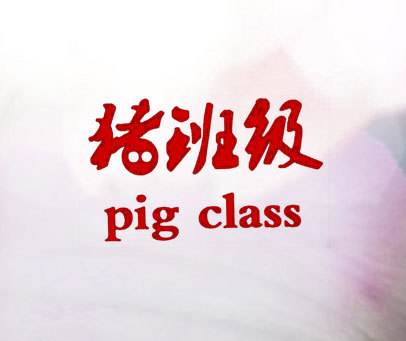 猪班级 PIG CLASS