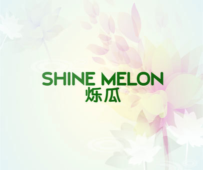 烁瓜 SHINE MELON