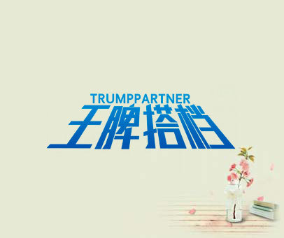 王脾搭档 TRUMPPARTNER