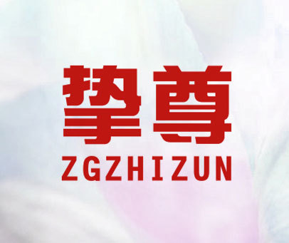 挚尊 ZGZHIZUN