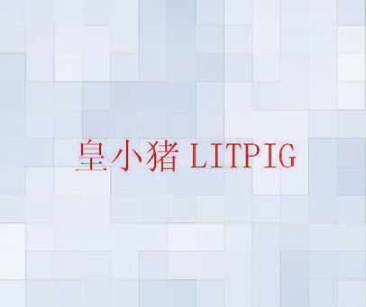 皇小猪 LITPIG