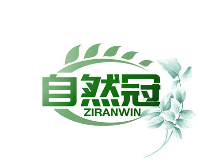 自然冠 ZIRANWIN