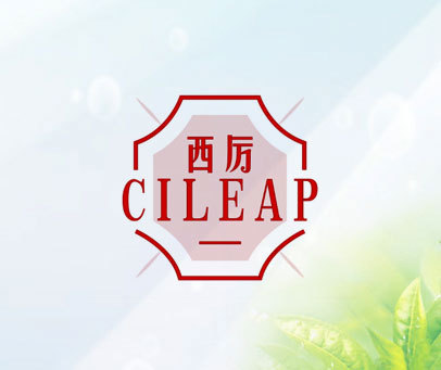 西厉 CILEAP