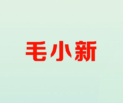 毛小新