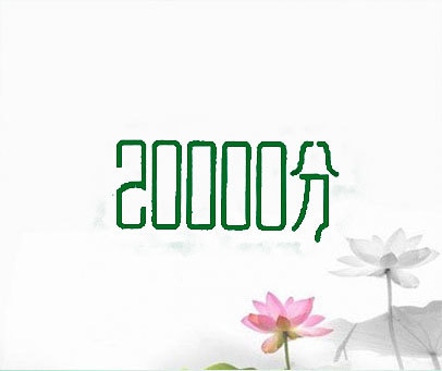 分 20000