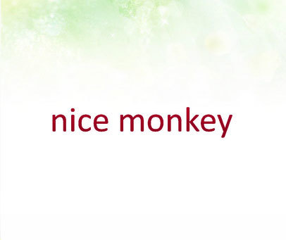 NICE MONKEY