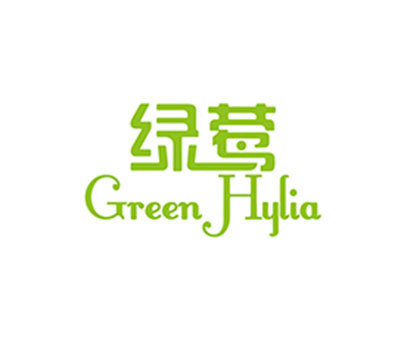 绿莺  GREEN HYLIA