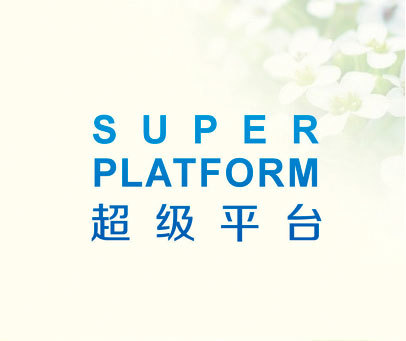 超级平台 SUPER PLATFORM