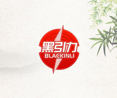 黑引力  BLACKINLI