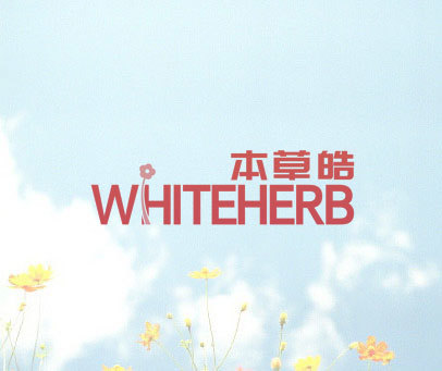 本草皓 WHITEHERB