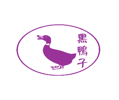 黑鸭子