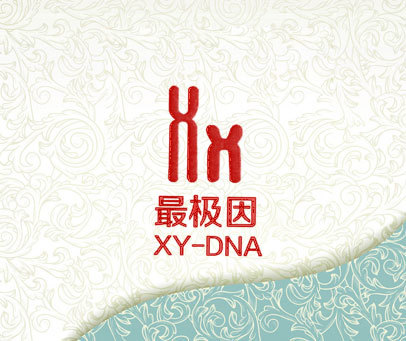 最极因 XY-DNA XX