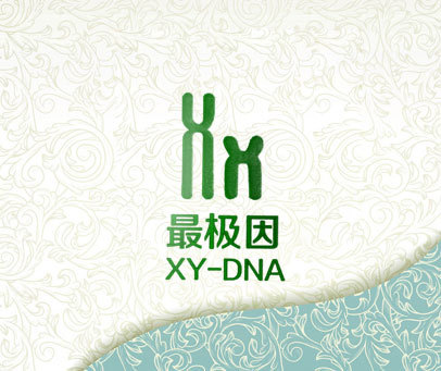 最极因 XY-DNA XX