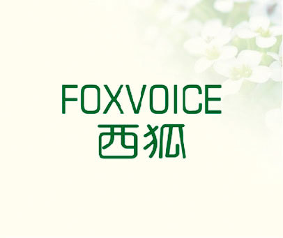 西狐 FOXVOICE