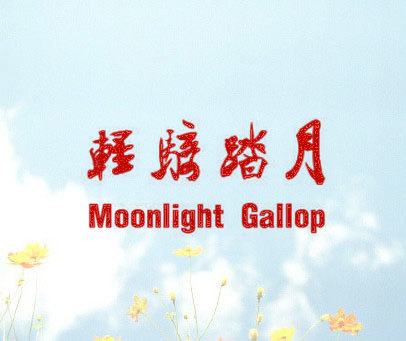 轻骑踏月 MOONLIGHT GALLOP