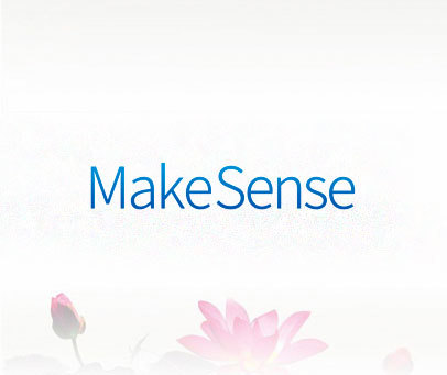 MAKESENSE