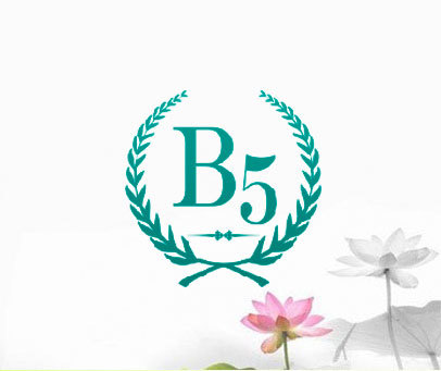 B5