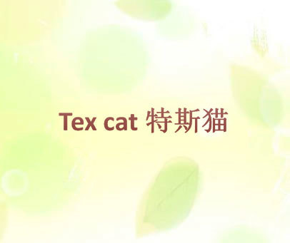 特斯猫 TEX CAT