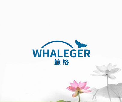 鲸格 WHALEGER