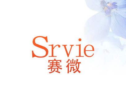 赛微  SRVIE