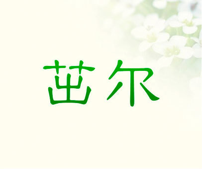 茁尔