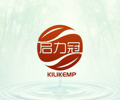 启力冠  KILIKEMP