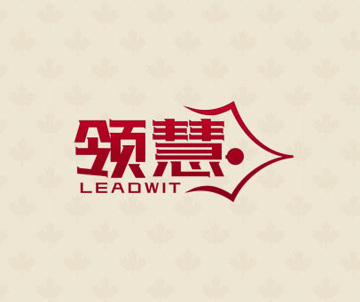 领慧 LEADWIT