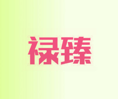 禄臻