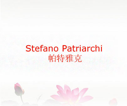 帕特雅克 STEFANO PATRIARCHI