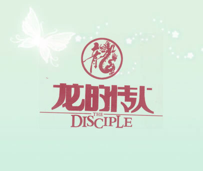 龙的传人;THE DISCIPLE