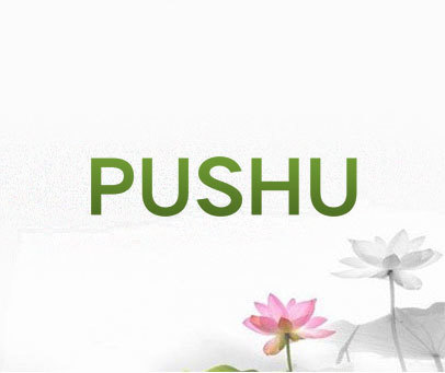 PUSHU