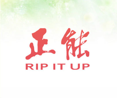 正能 RIP IT UP