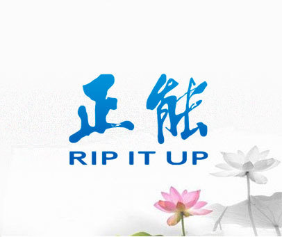 正能 RIP IT UP