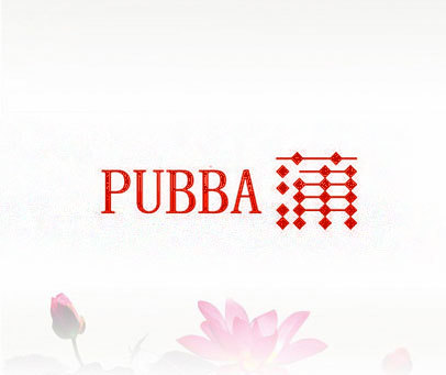 PUBBA